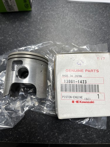 Genuine kawasaki kdx220 a10 - kawasaki, kdx220-a10