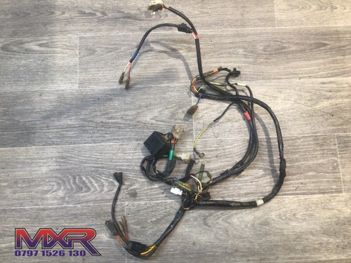 Kawasaki kdx 220 wiring loom - wiring, (